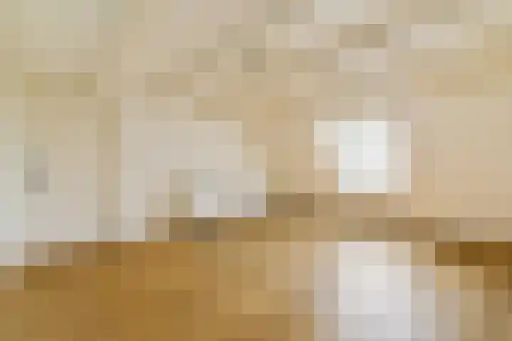 Jacob Obrechtstraat 21 3 Amsterdam thumbnail 22