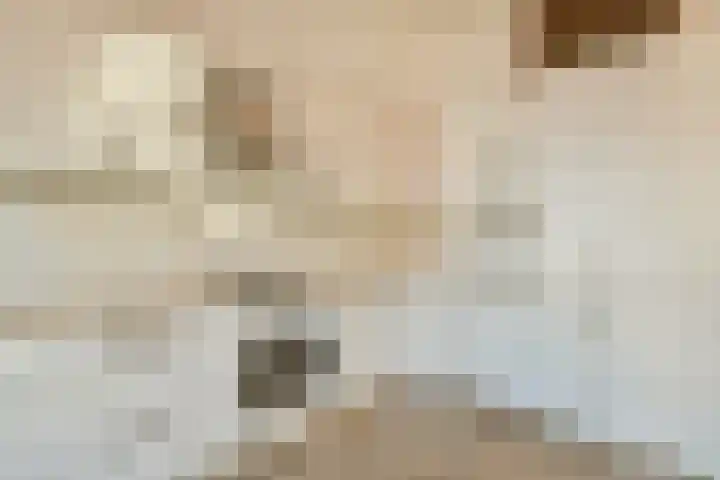 Jacob Obrechtstraat 21 3 Amsterdam thumbnail 6