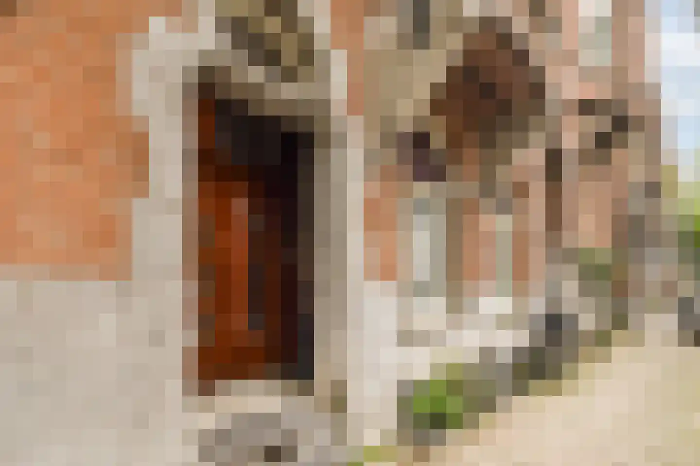 Jacob Obrechtstraat 21 3 Amsterdam thumbnail 7