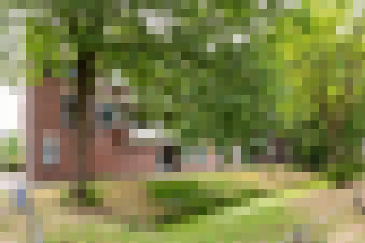 Jacob Obrechtstraat 49 Amersfoort thumbnail 26