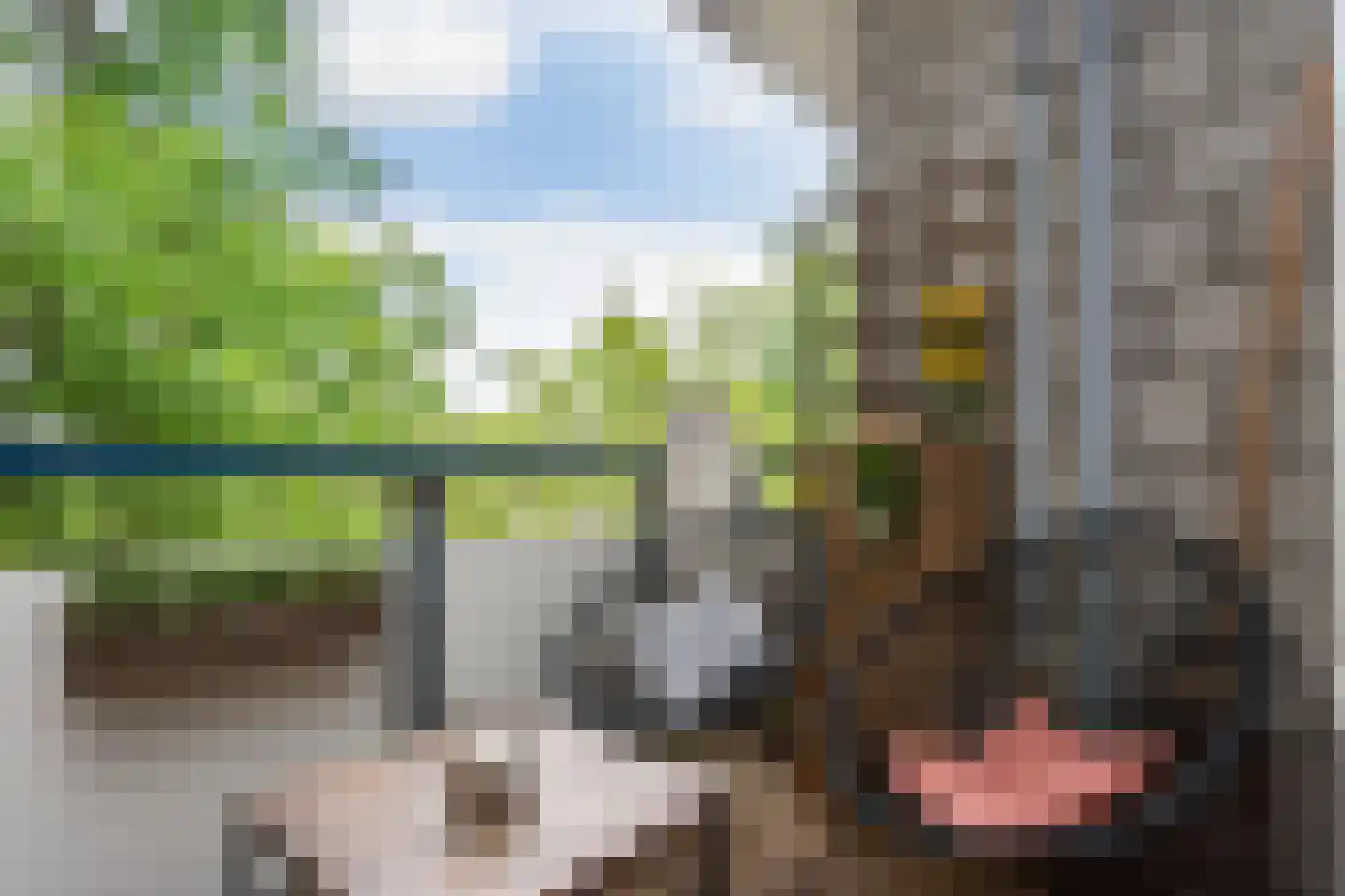 Jacob Obrechtstraat 49 Amersfoort thumbnail 5