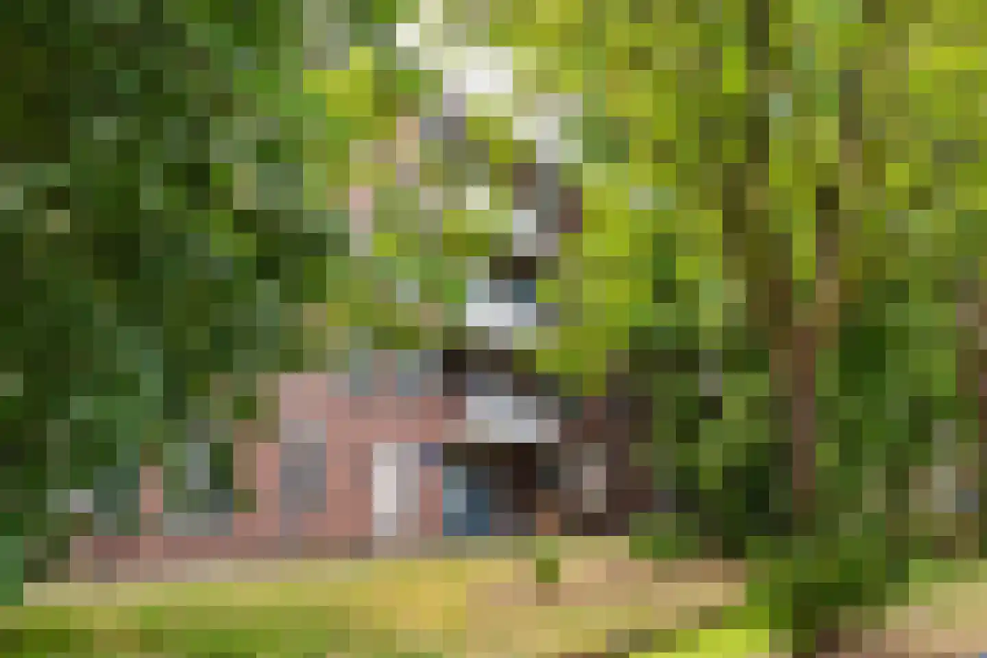 Jacob Obrechtstraat 49 Amersfoort thumbnail 6