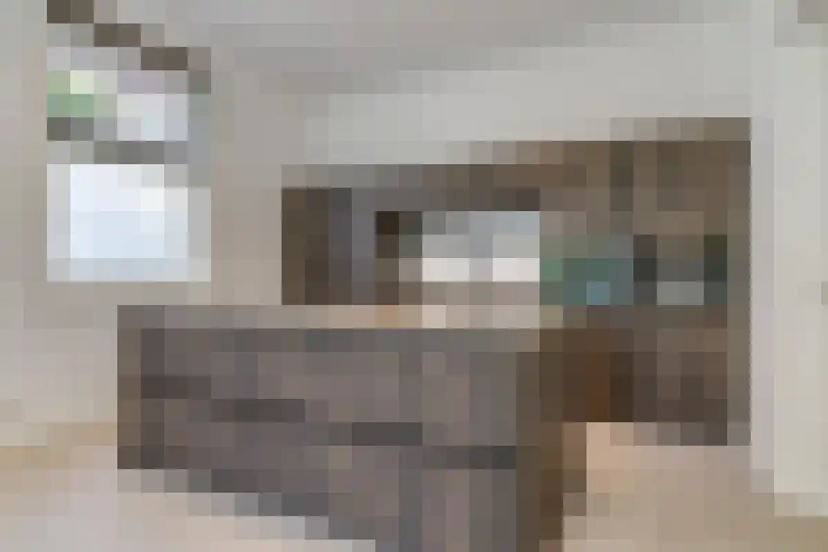 Jacob Obrechtstraat 62 Amsterdam thumbnail 5