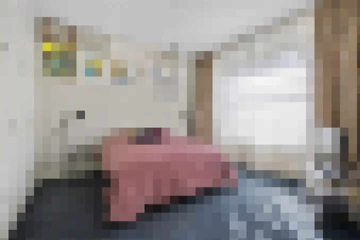 Jacob Obrechtstraat 67 F Amsterdam thumbnail 17