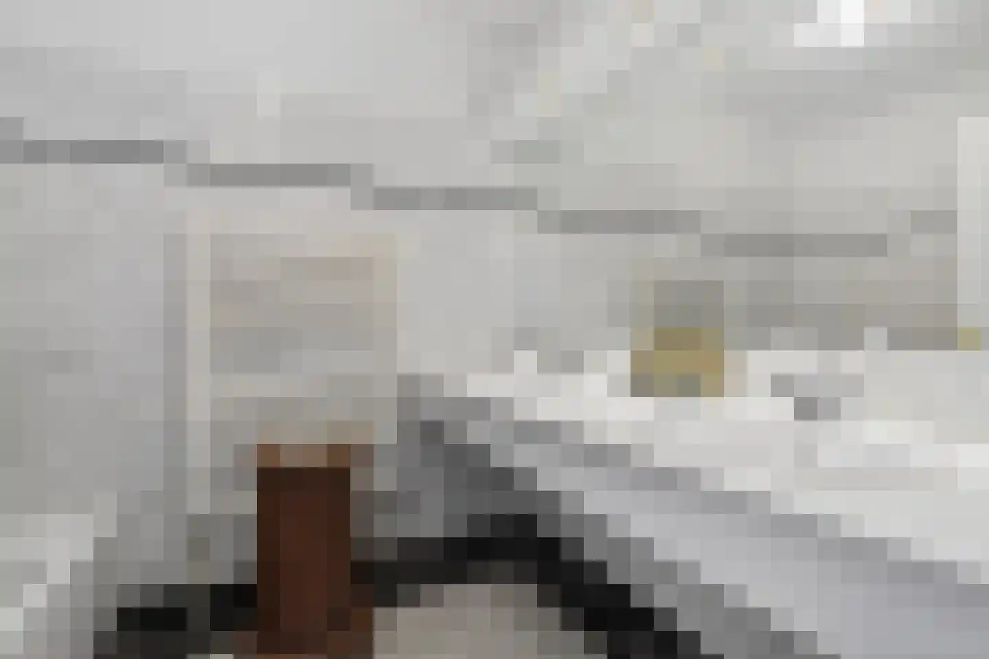 Jacob Obrechtstraat 67 F Amsterdam thumbnail 21