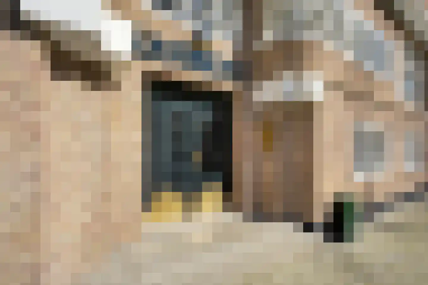 Jacob Obrechtstraat 67 F Amsterdam thumbnail 26
