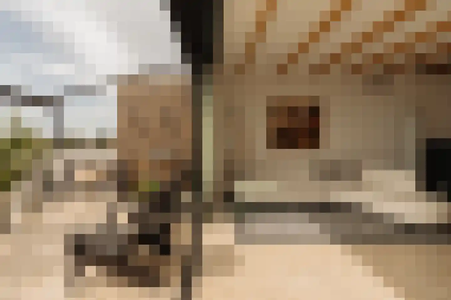 Jacob Obrechtstraat 72 2 Amsterdam thumbnail 27