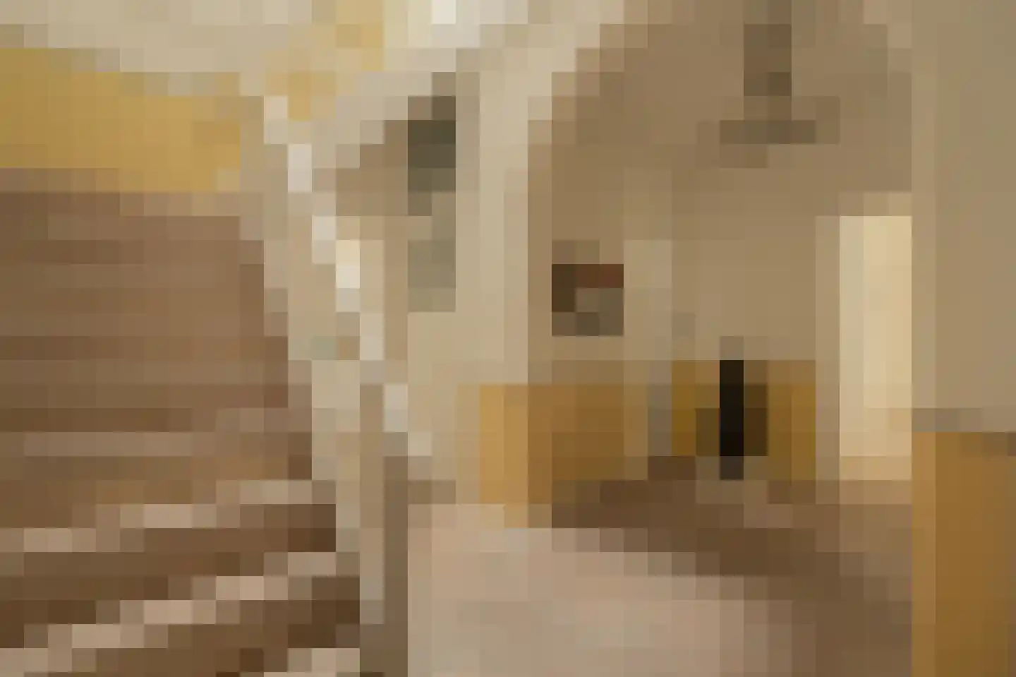 Jacob Obrechtstraat 72 H Amsterdam thumbnail 7