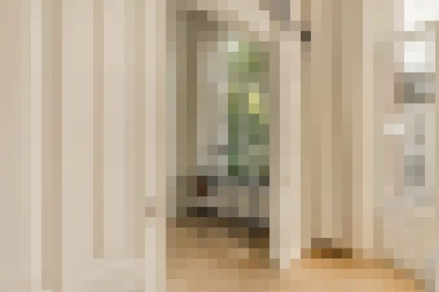 Jacob Obrechtstraat 9 1 Amsterdam thumbnail 12