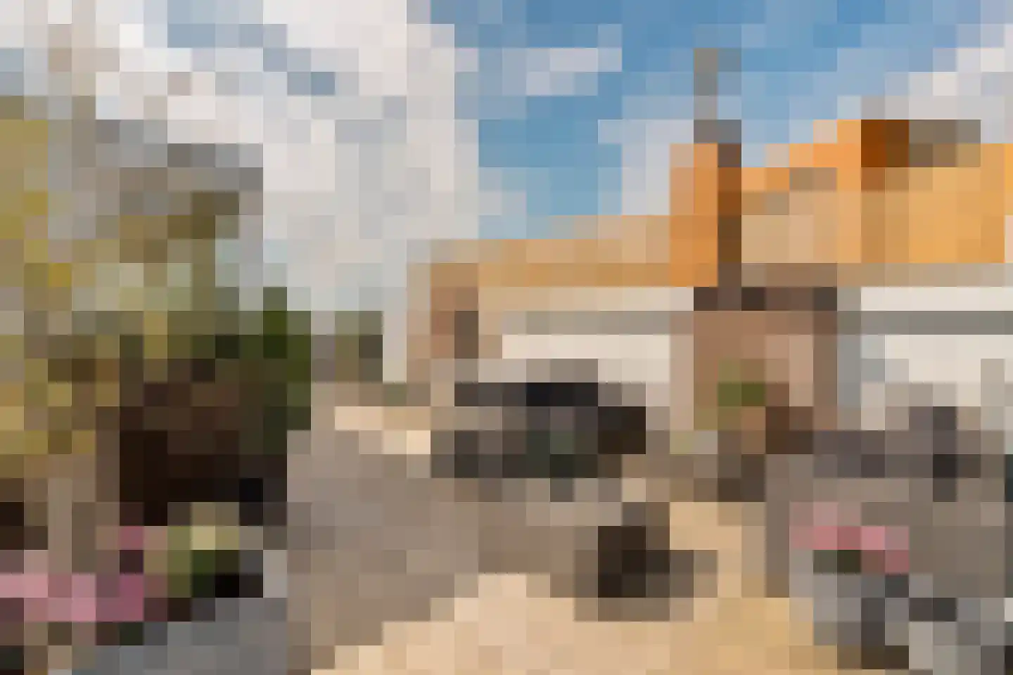 Jacob Obrechtstraat 9 1 Amsterdam thumbnail 41