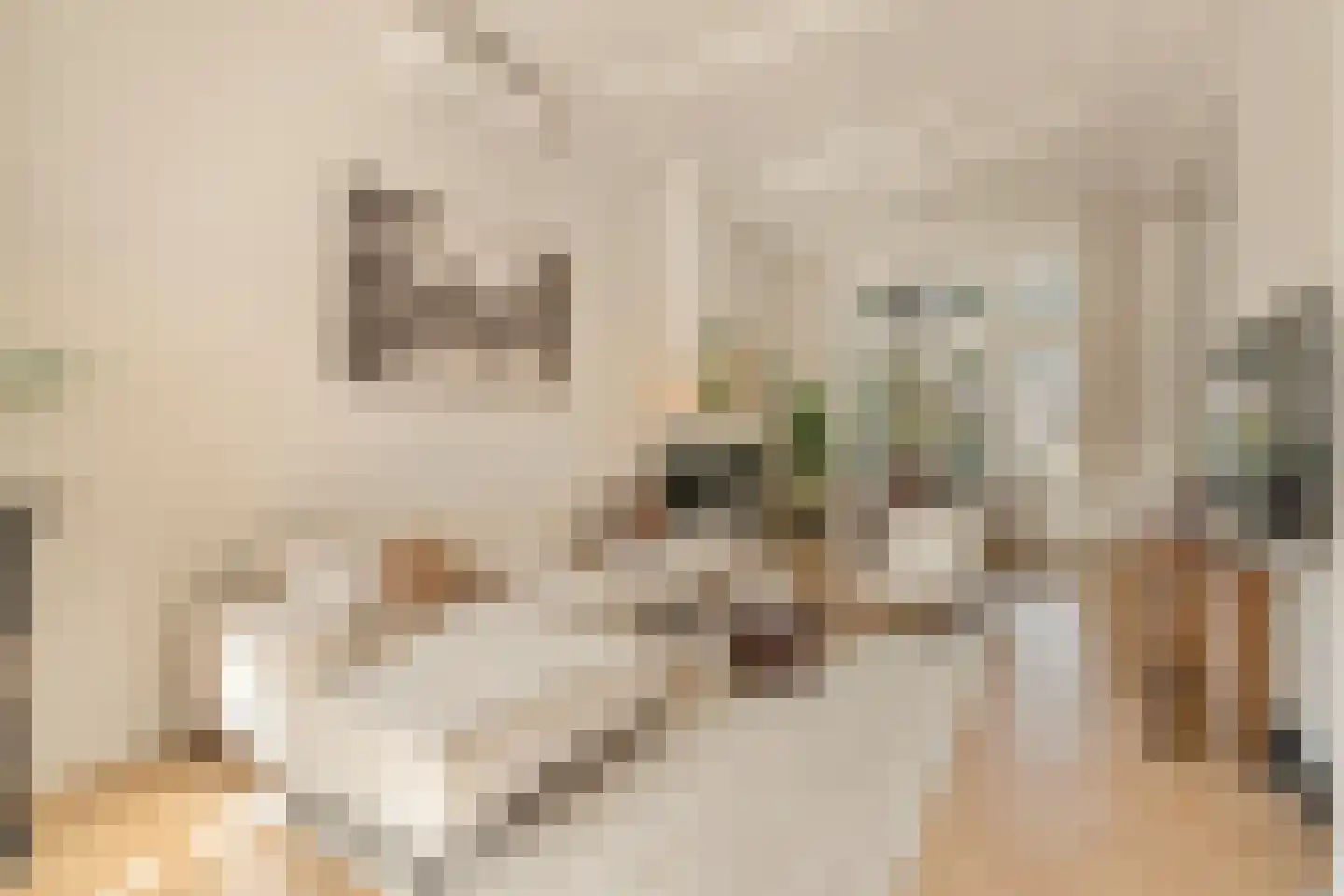 Jacob Obrechtstraat 9 1 Amsterdam thumbnail 9