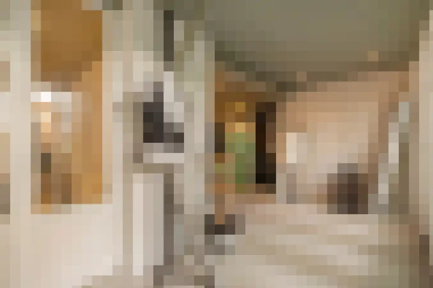 Jacob Obrechtstraat 9 H Amsterdam thumbnail 15