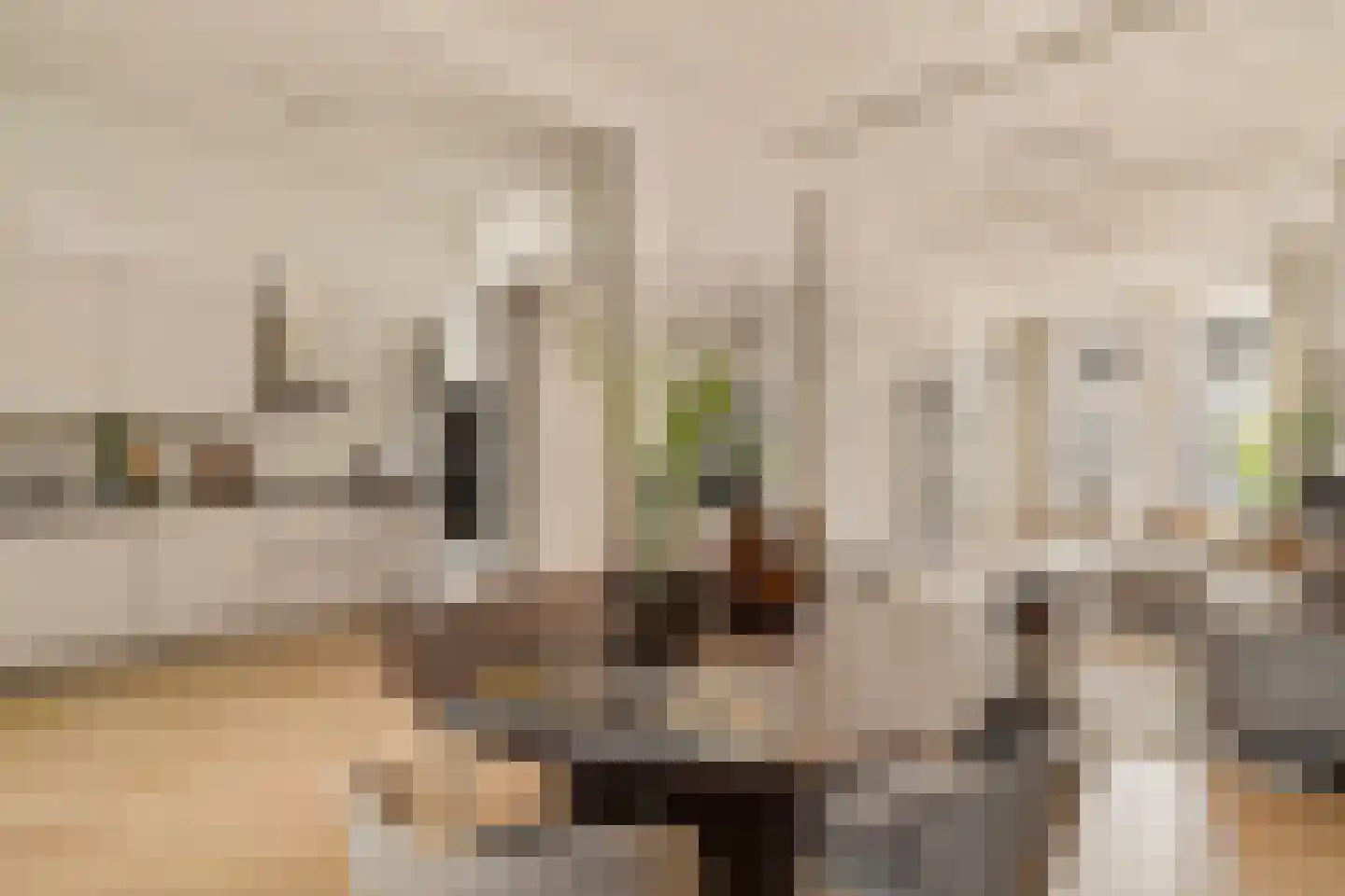 Jacob Obrechtstraat 9 H Amsterdam thumbnail 30