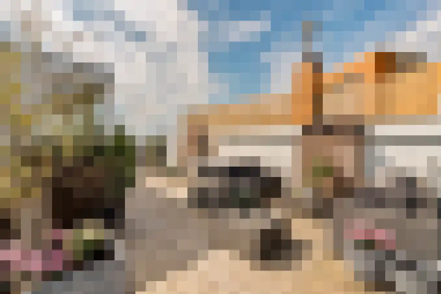 Jacob Obrechtstraat 9 H Amsterdam thumbnail 55