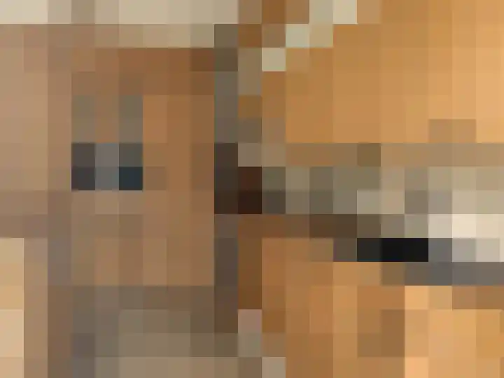 Jacob Oppenheimstraat 126 Eindhoven thumbnail 8