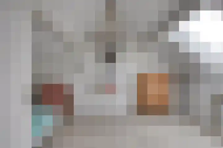 Jacob Oppenheimstraat 136 Eindhoven thumbnail 28