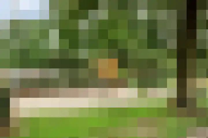 Jacob Oppenheimstraat 136 Eindhoven thumbnail 4