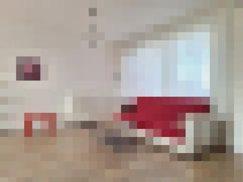 Jacob Oppenheimstraat 142 Eindhoven thumbnail 5