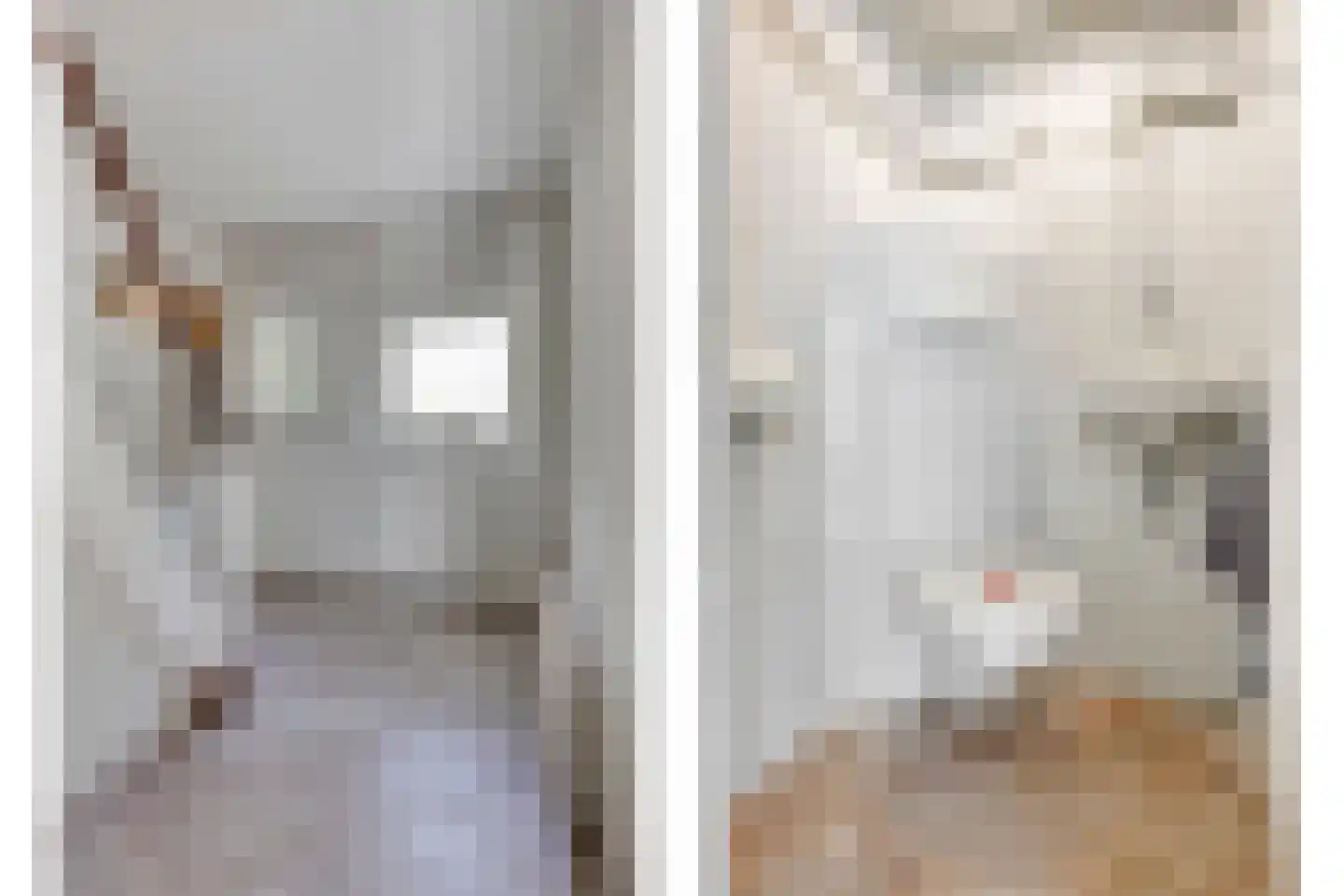 Jacob Oppenheimstraat 48 Eindhoven thumbnail 12
