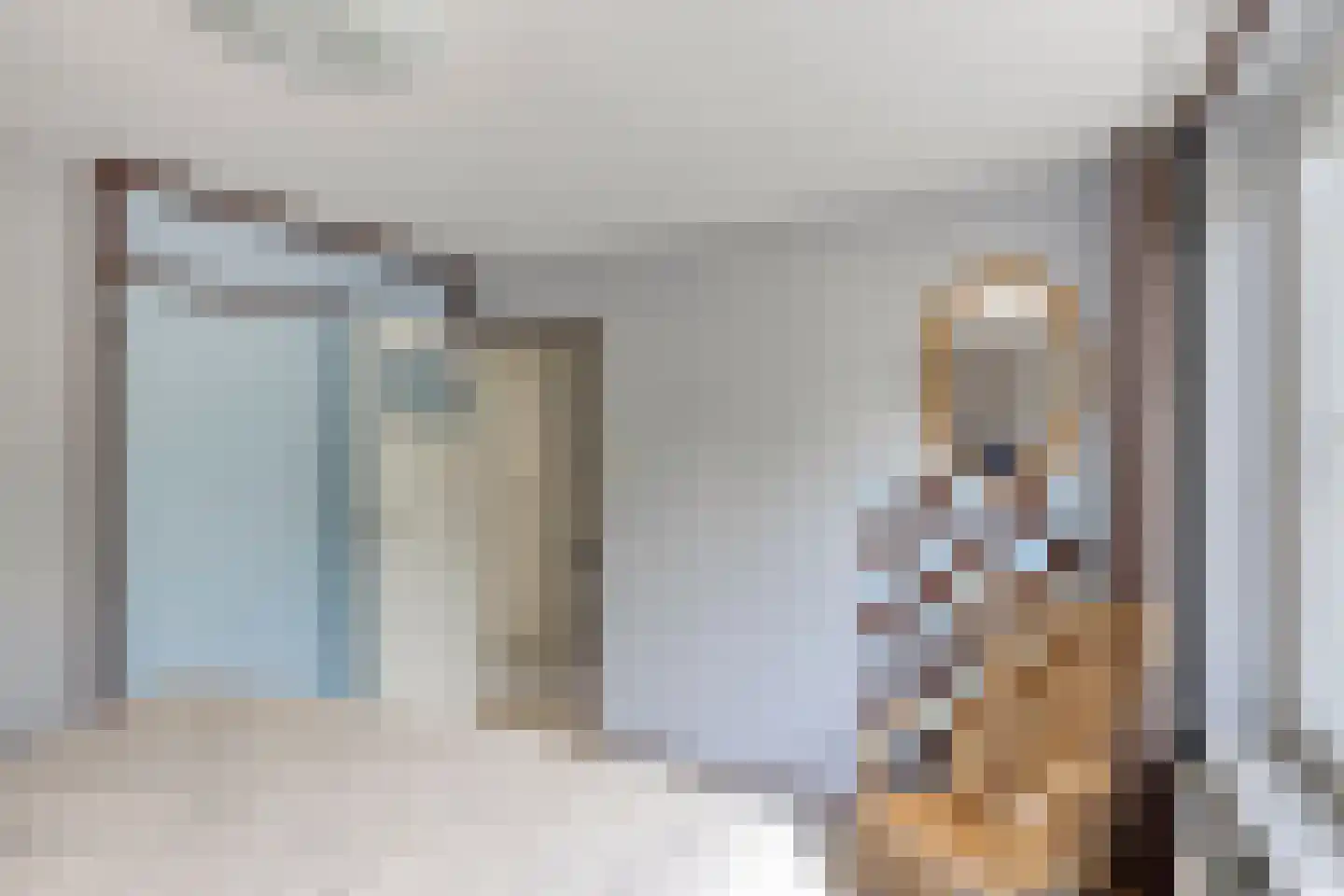Jacob Oppenheimstraat 48 Eindhoven thumbnail 23