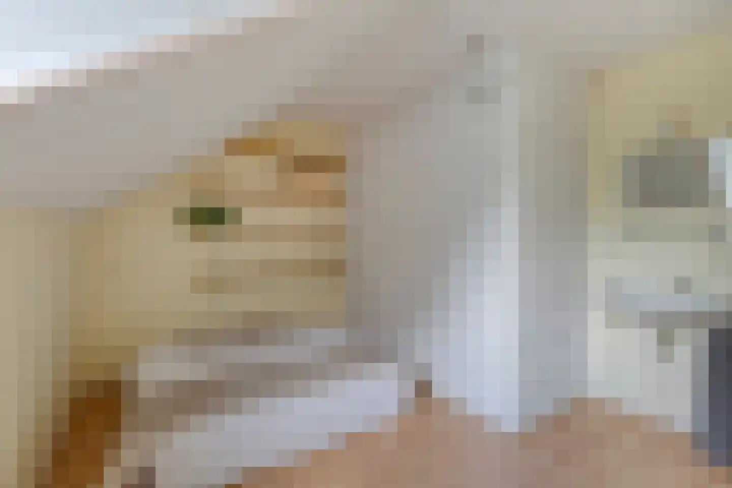 Jacob Oppenheimstraat 48 Eindhoven thumbnail 30