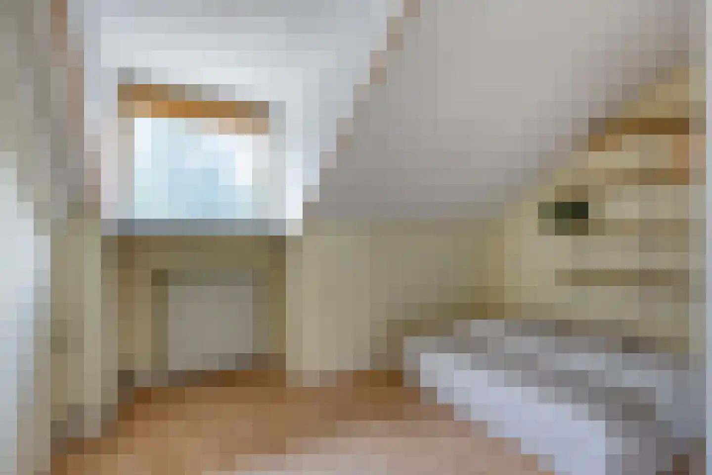 Jacob Oppenheimstraat 48 Eindhoven thumbnail 32
