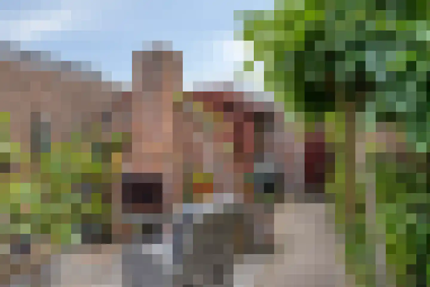Jacob Oppenheimstraat 48 Eindhoven thumbnail 38