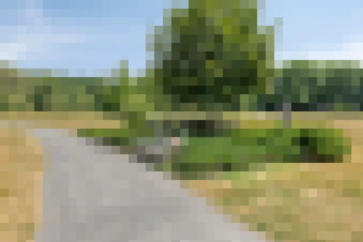 Jacob Oppenheimstraat 48 Eindhoven thumbnail 47