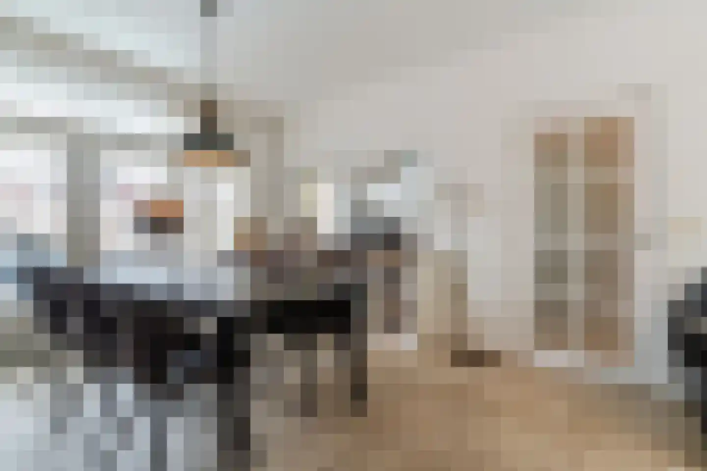 Jacob Oppenheimstraat 72 Eindhoven thumbnail 12