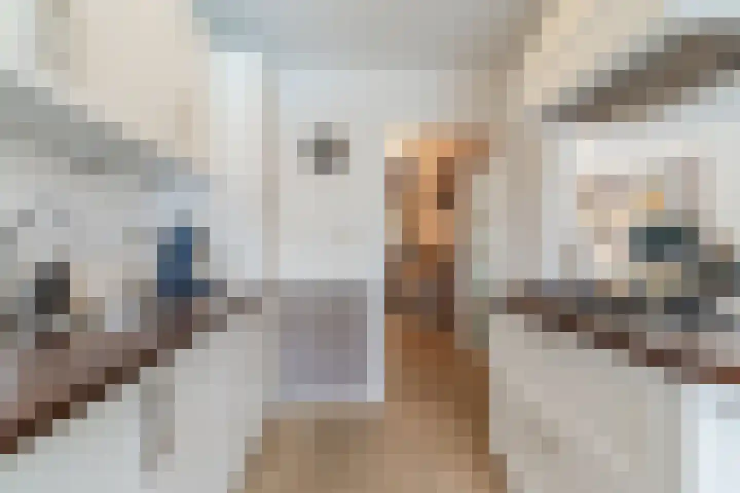 Jacob Oppenheimstraat 72 Eindhoven thumbnail 14