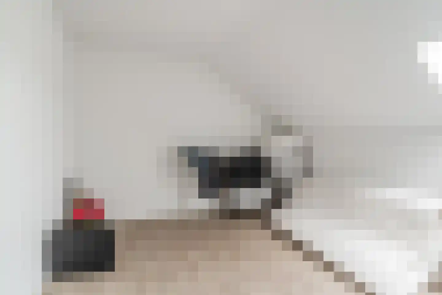 Jacob Oppenheimstraat 72 Eindhoven thumbnail 26