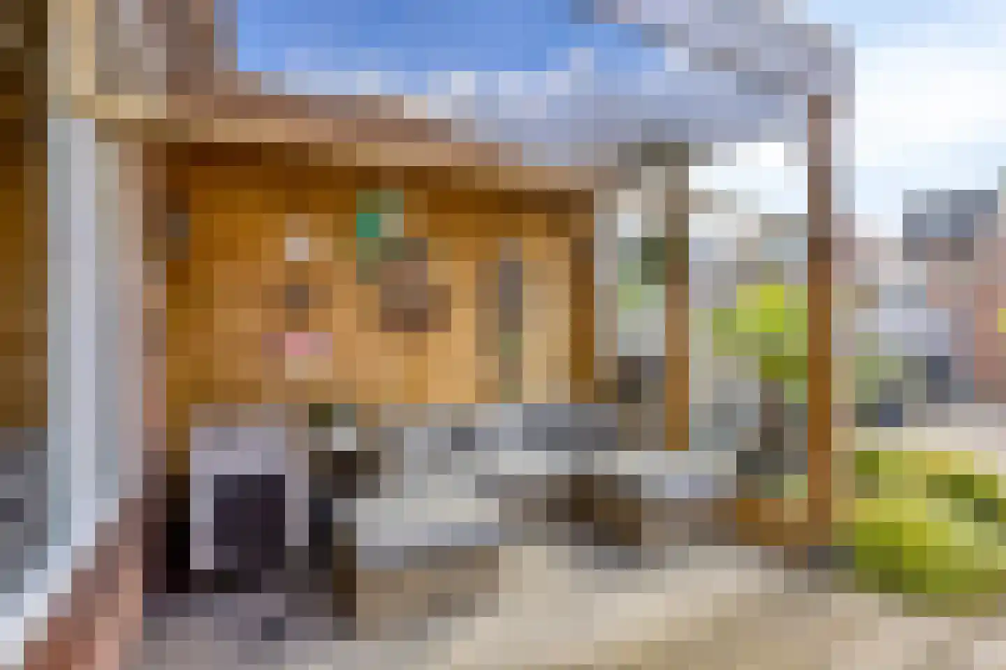 Jacob Paffstraat 28 Amsterdam thumbnail 28