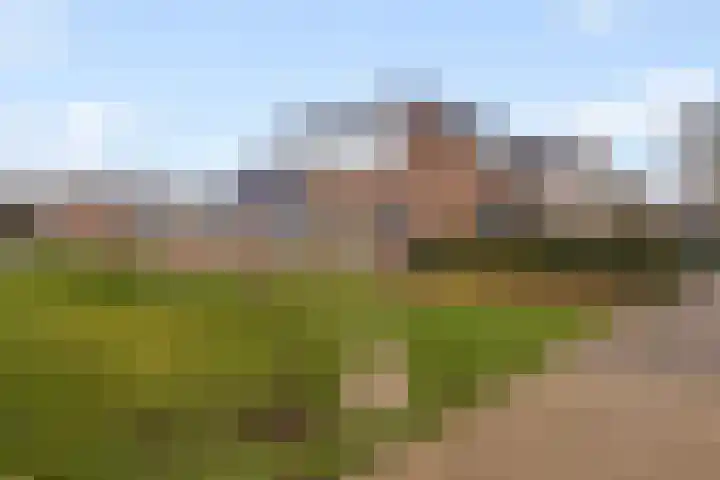 Jacob Pauwstraat 24 Zuid-Beijerland thumbnail 42