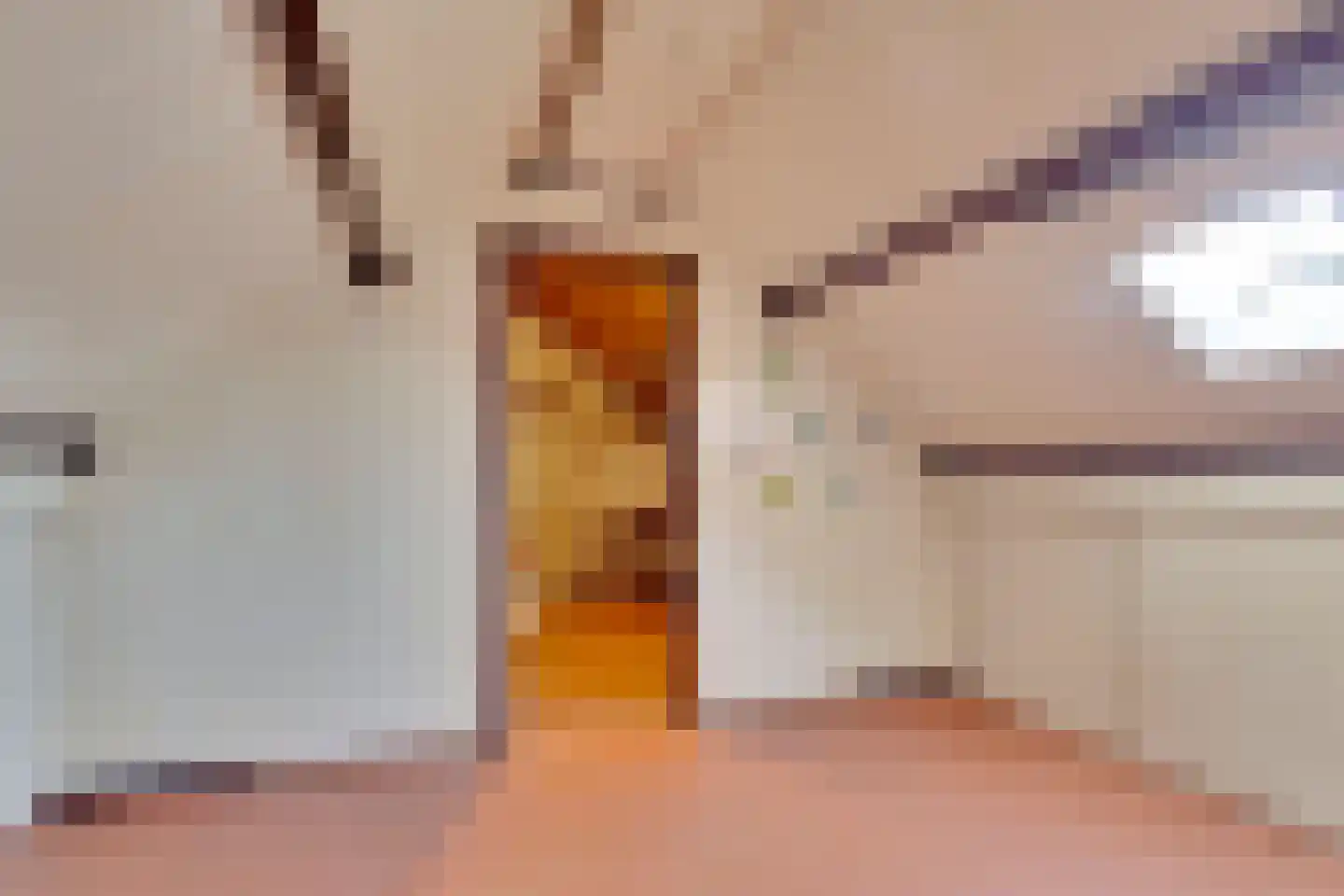 Jacob Pauwstraat 41 Zuid-Beijerland thumbnail 22