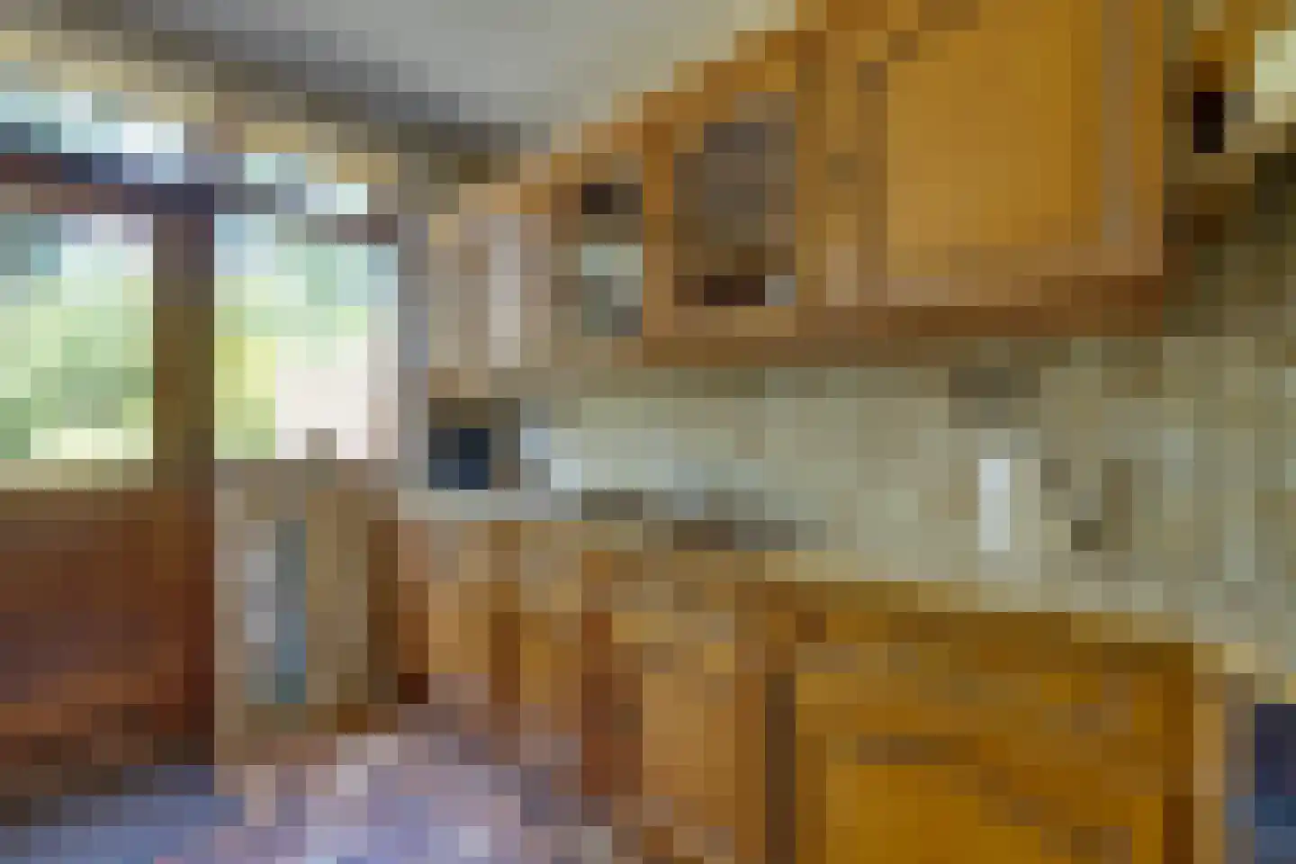 Jacob Peteysstraat 24 Edam thumbnail 19