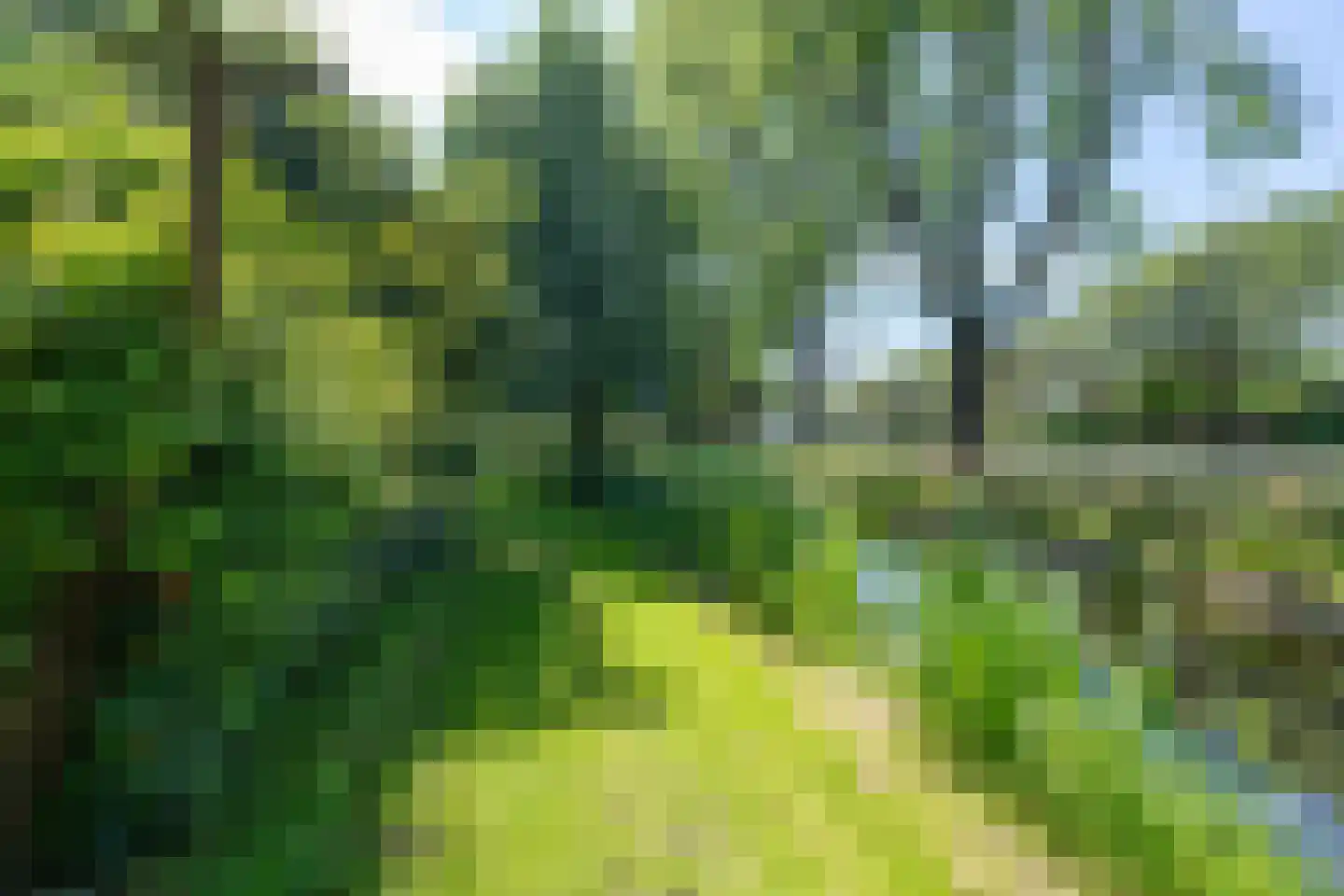 Jacob Peteysstraat 24 Edam thumbnail 27