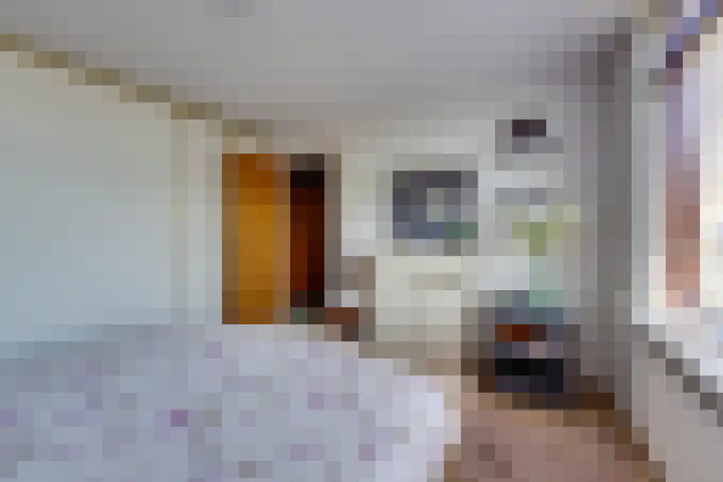 Jacob Peteysstraat 24 Edam thumbnail 31