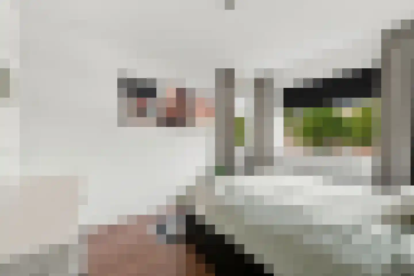 Jacob Pieterse Boreelstraat 26 Middelburg thumbnail 22
