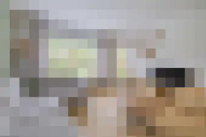 Jacob Pieterse Boreelstraat 30 Middelburg thumbnail 12