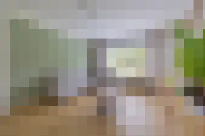 Jacob Pieterse Boreelstraat 30 Middelburg thumbnail 13