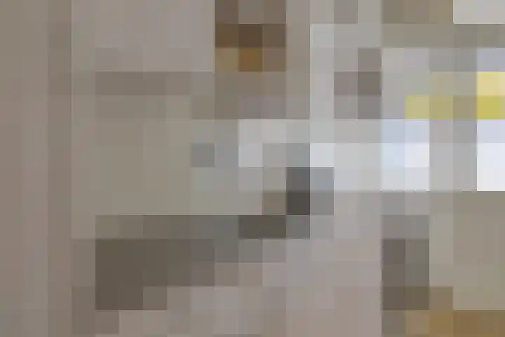Jacob Pieterse Boreelstraat 30 Middelburg thumbnail 20