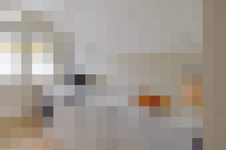 Jacob Pieterse Boreelstraat 30 Middelburg thumbnail 21