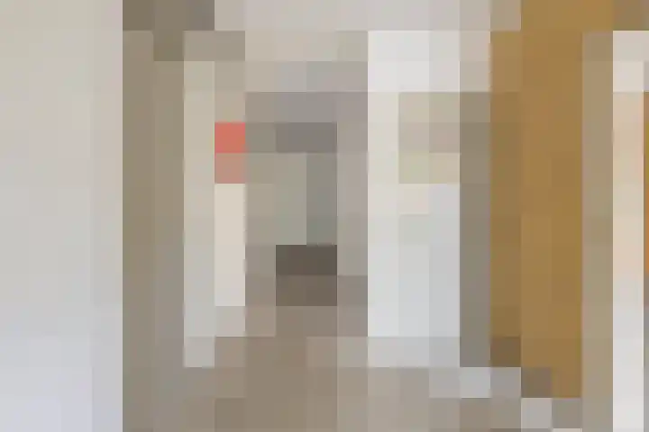 Jacob Pieterse Boreelstraat 30 Middelburg thumbnail 34
