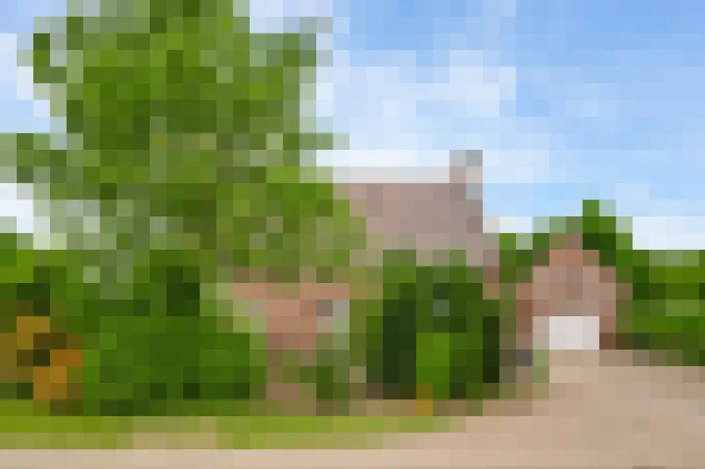 Jacob Poelsweg 4 America thumbnail 10