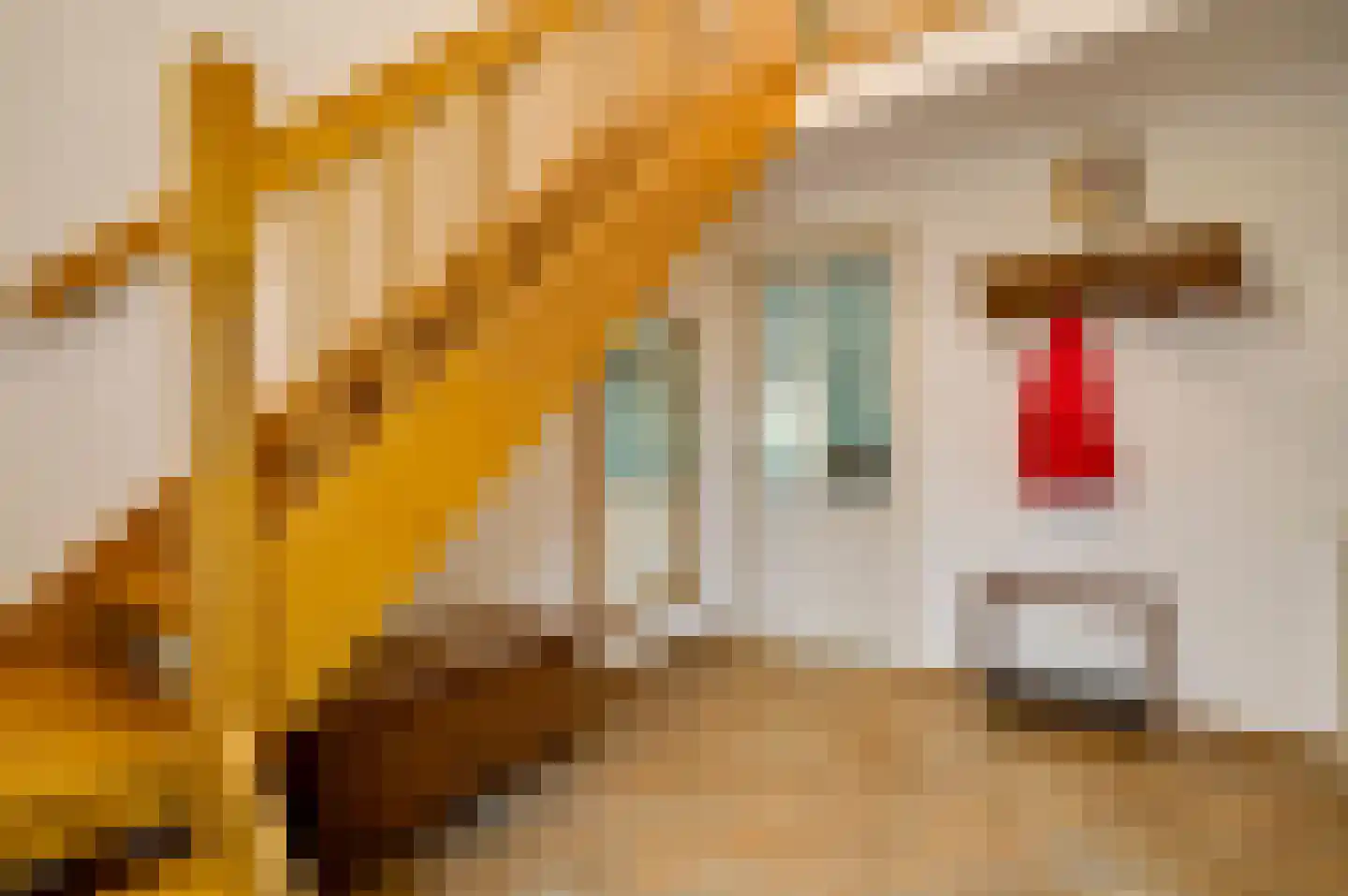 Jacob Poelsweg 4 America thumbnail 14