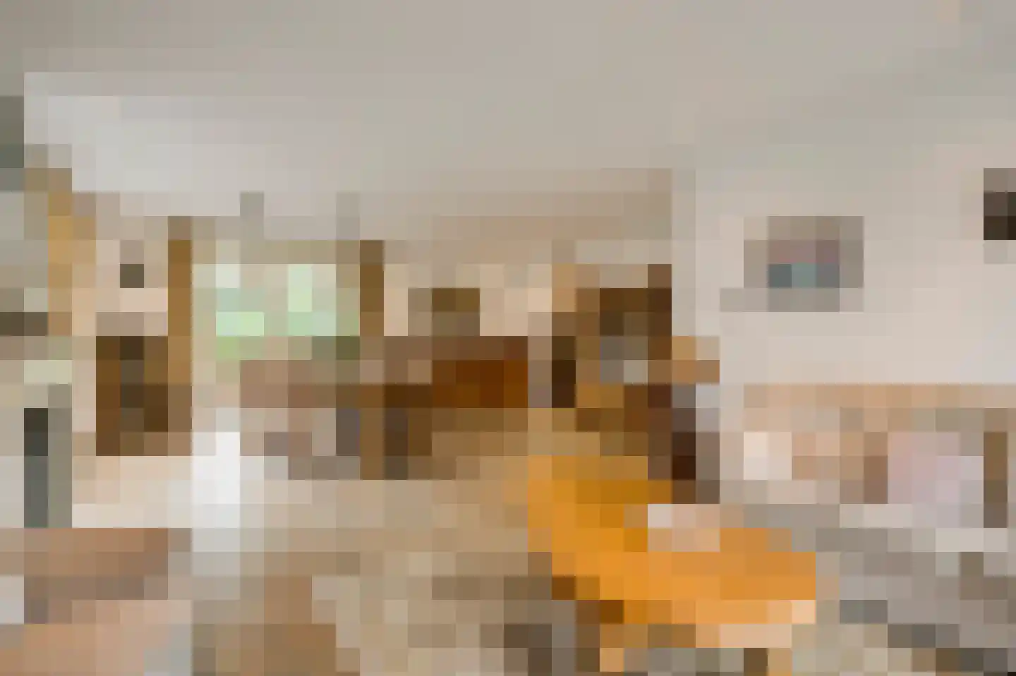 Jacob Poelsweg 4 America thumbnail 29