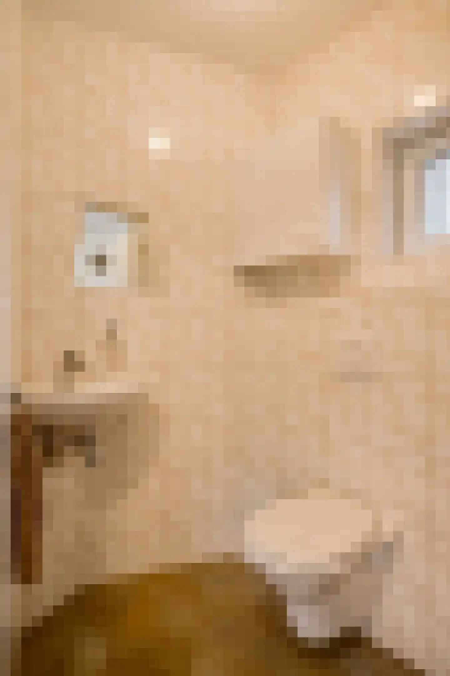 Jacob Poelsweg 4 America thumbnail 36