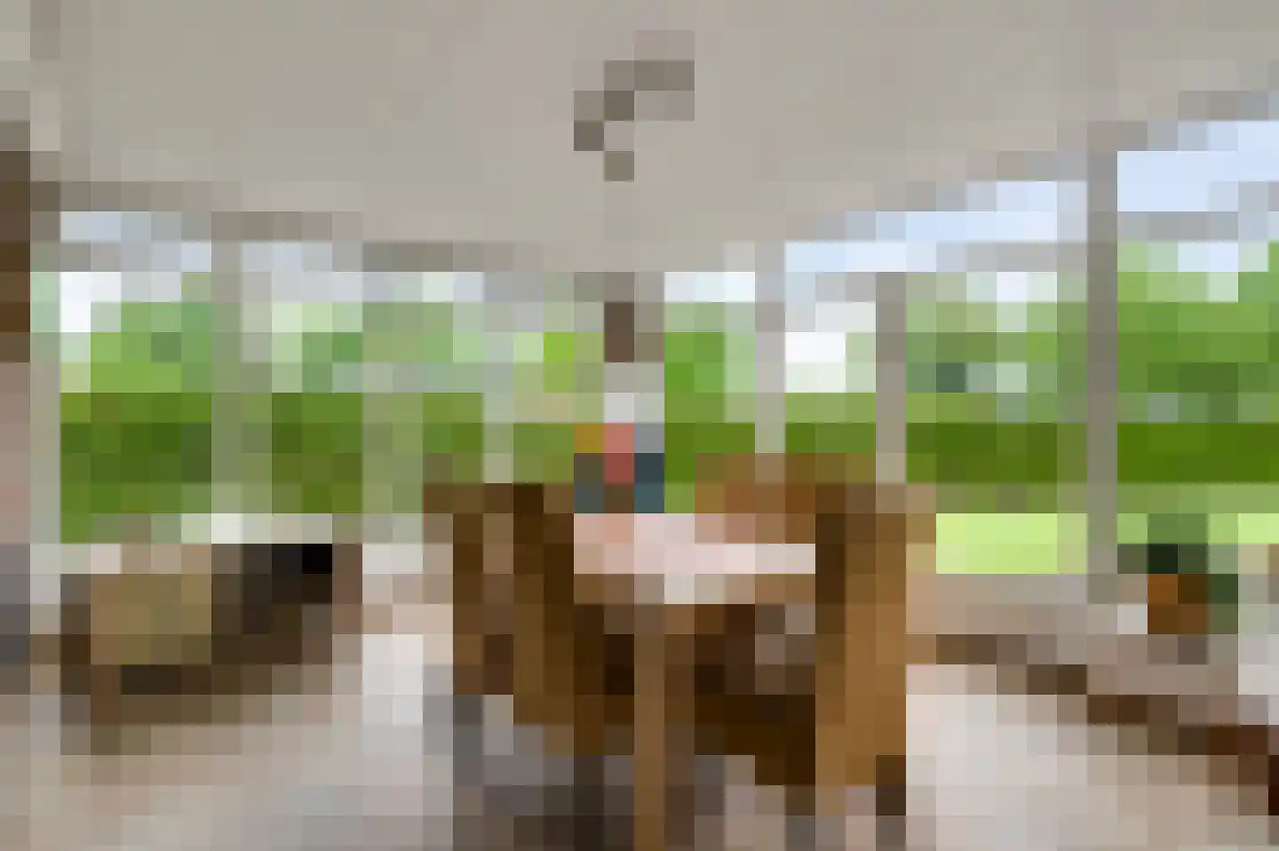 Jacob Poelsweg 4 America thumbnail 41