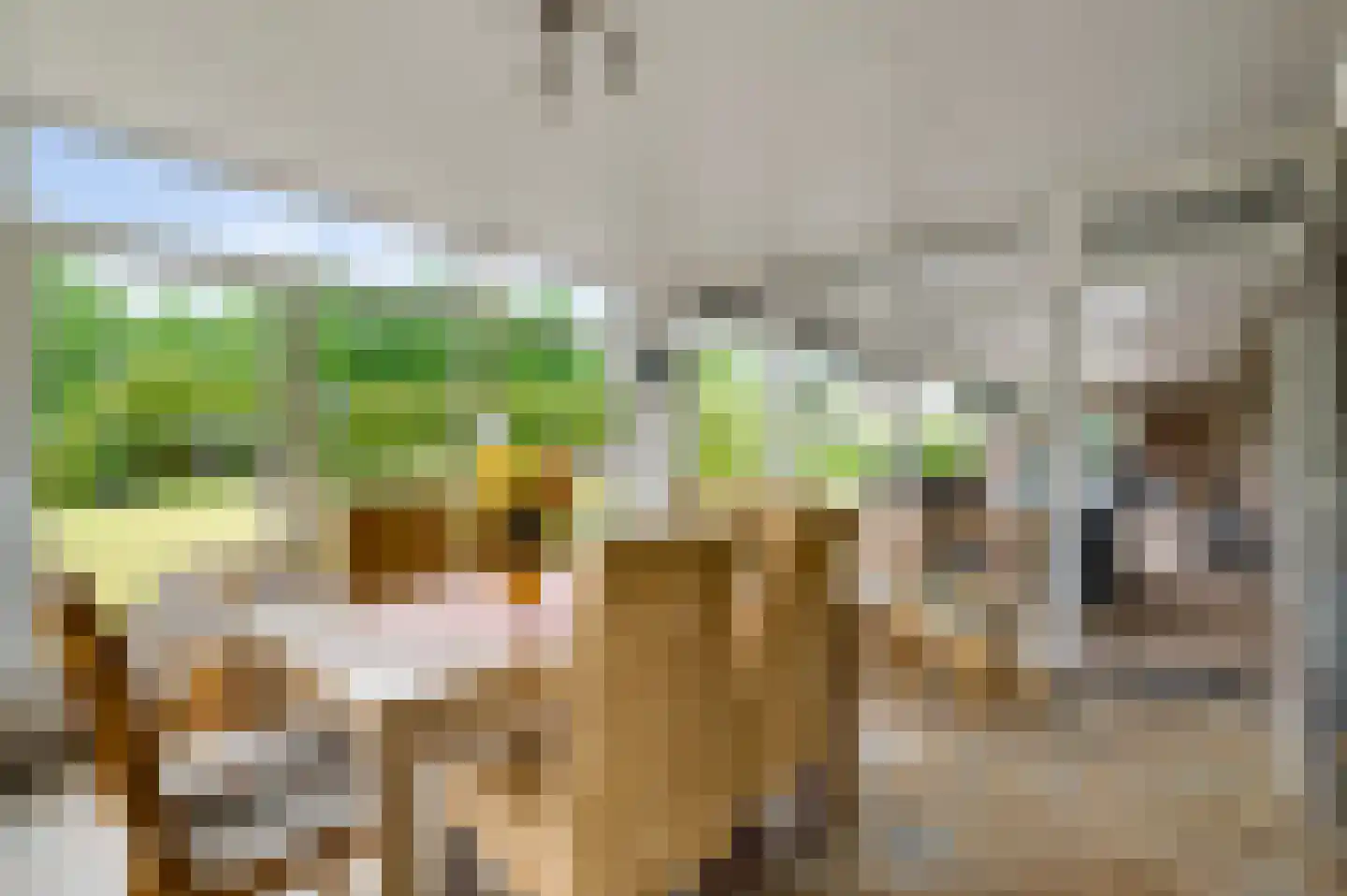 Jacob Poelsweg 4 America thumbnail 42