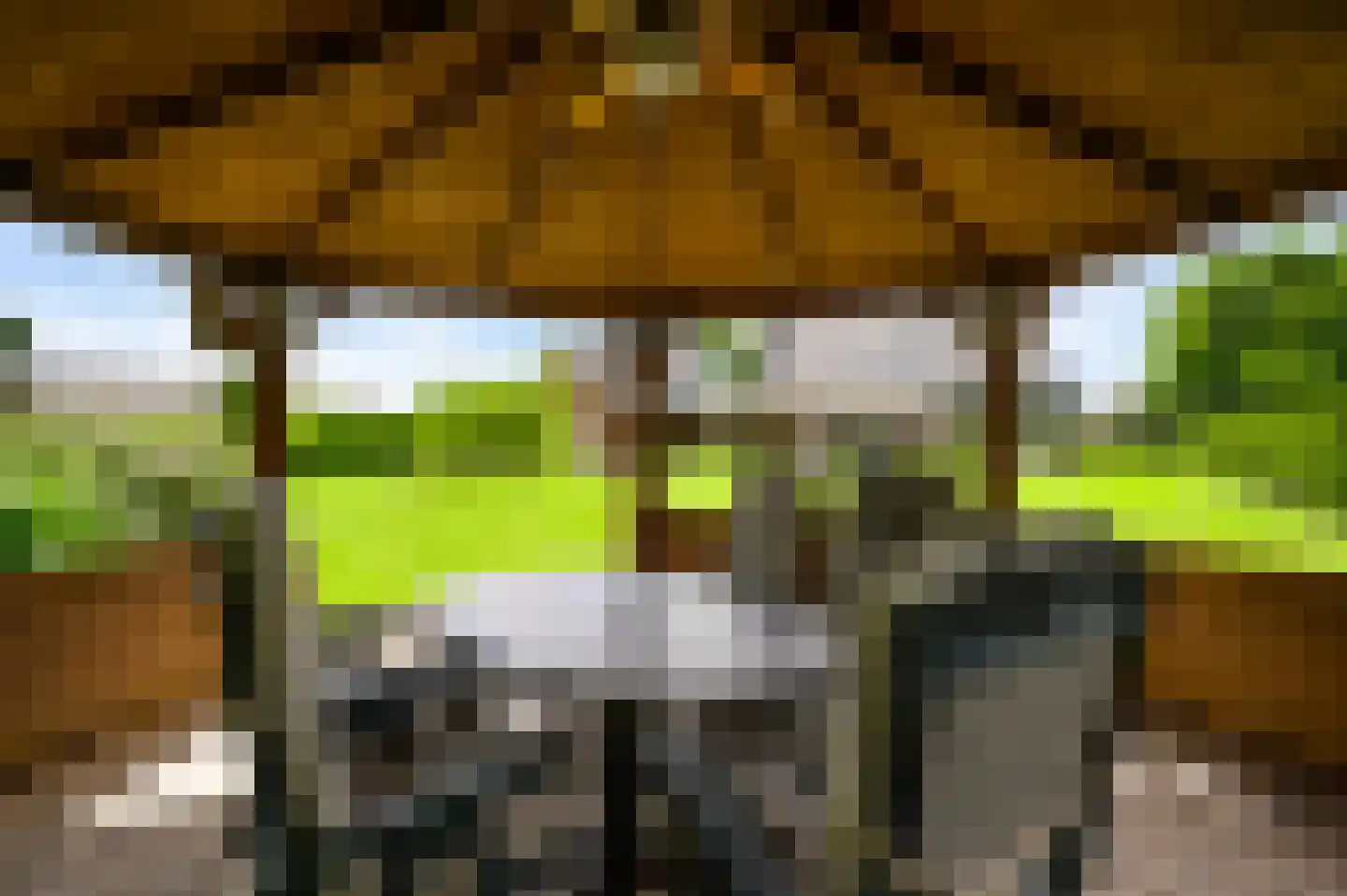 Jacob Poelsweg 4 America thumbnail 50